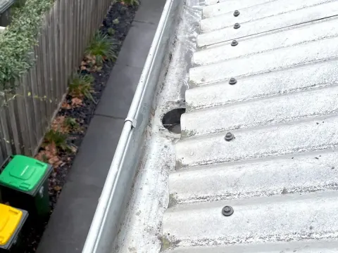 Gutters & Fascia