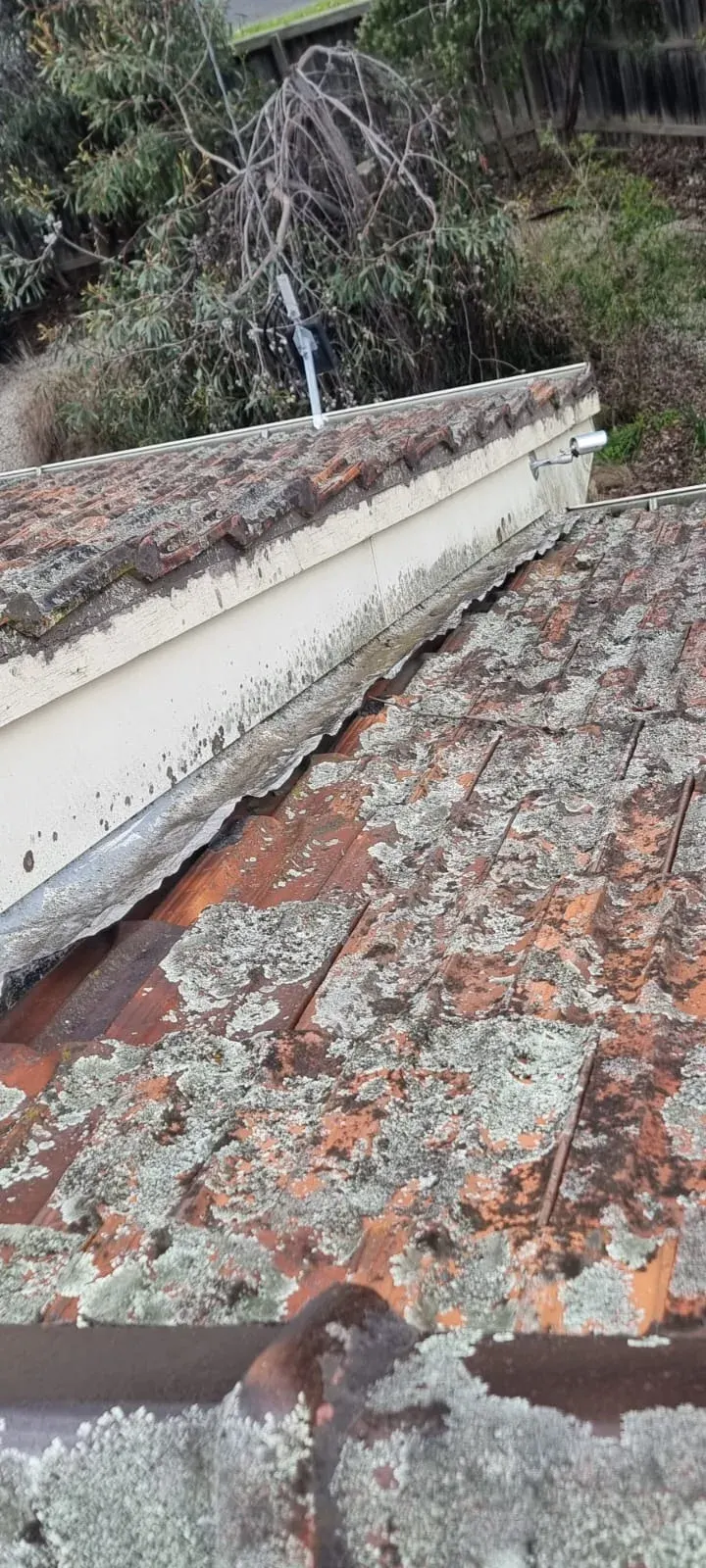 Roof Ready roofing services in Pakenham