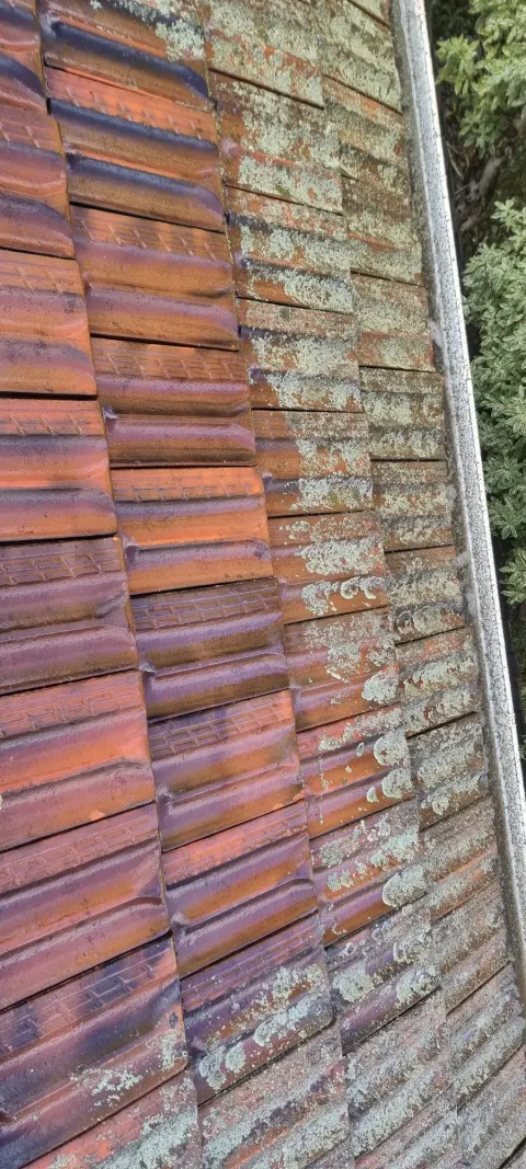Before — lichen growth across a terracotta tiled roof in Melbourne