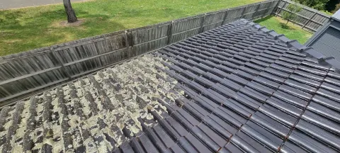 Half-cleaned Melbourne roof — heavy lichen on one side, clean tile on the other