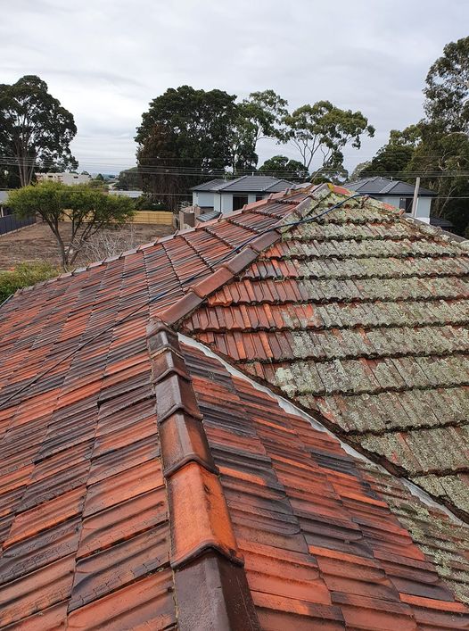 Terra Cotta roof cleaning
